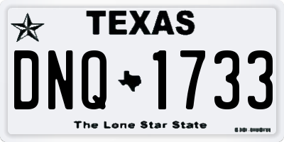 TX license plate DNQ1733