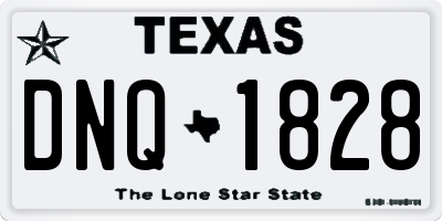 TX license plate DNQ1828