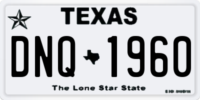 TX license plate DNQ1960