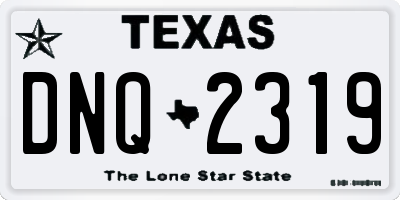 TX license plate DNQ2319