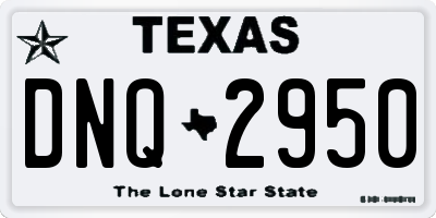 TX license plate DNQ2950