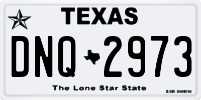TX license plate DNQ2973