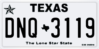 TX license plate DNQ3119