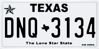 TX license plate DNQ3134
