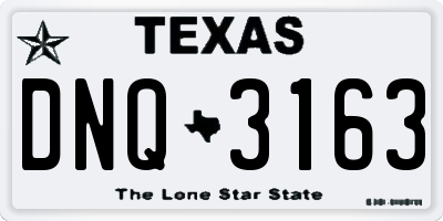 TX license plate DNQ3163