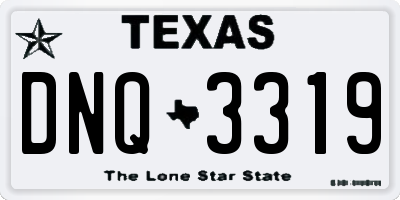TX license plate DNQ3319