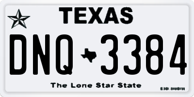 TX license plate DNQ3384