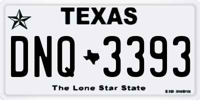 TX license plate DNQ3393