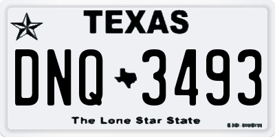 TX license plate DNQ3493