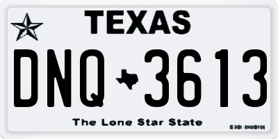 TX license plate DNQ3613