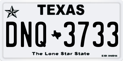 TX license plate DNQ3733