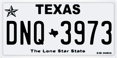 TX license plate DNQ3973