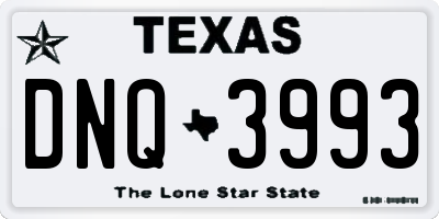 TX license plate DNQ3993