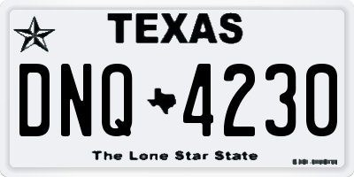 TX license plate DNQ4230