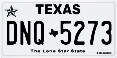 TX license plate DNQ5273