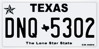 TX license plate DNQ5302