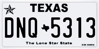 TX license plate DNQ5313