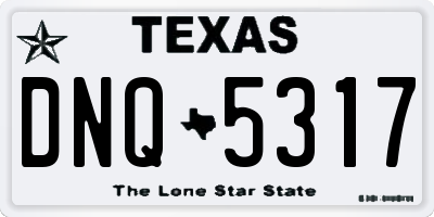 TX license plate DNQ5317