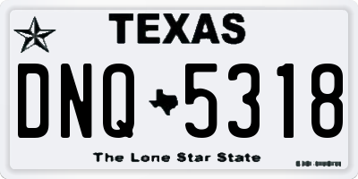 TX license plate DNQ5318