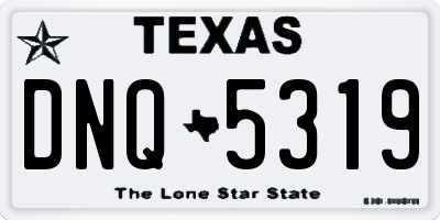 TX license plate DNQ5319