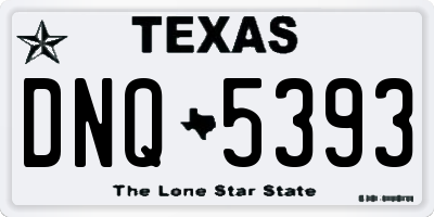 TX license plate DNQ5393