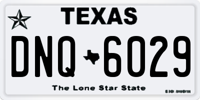 TX license plate DNQ6029