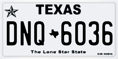 TX license plate DNQ6036