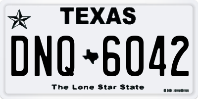 TX license plate DNQ6042