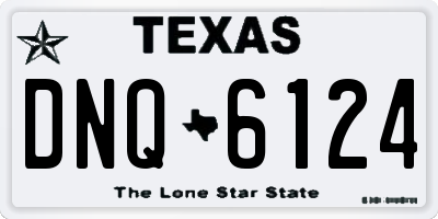 TX license plate DNQ6124