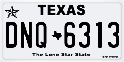 TX license plate DNQ6313