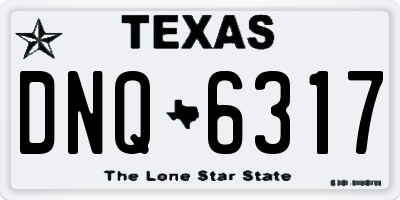 TX license plate DNQ6317