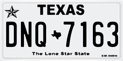 TX license plate DNQ7163