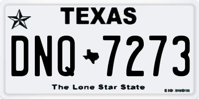 TX license plate DNQ7273