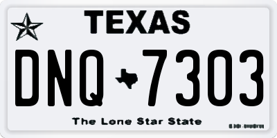 TX license plate DNQ7303
