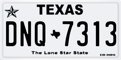 TX license plate DNQ7313