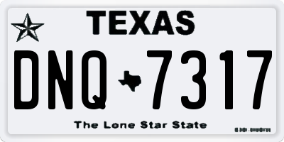 TX license plate DNQ7317