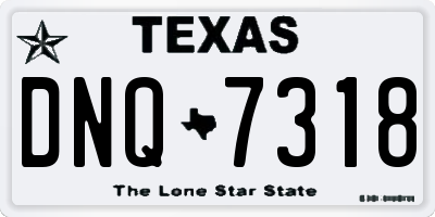 TX license plate DNQ7318