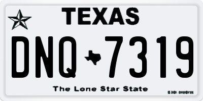 TX license plate DNQ7319
