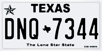 TX license plate DNQ7344