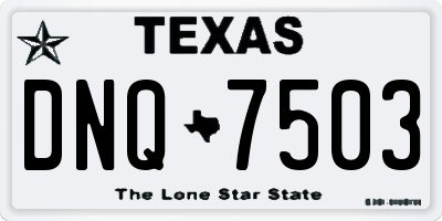 TX license plate DNQ7503