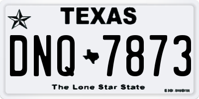 TX license plate DNQ7873