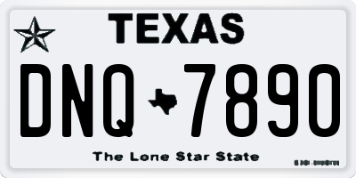 TX license plate DNQ7890