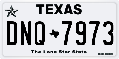 TX license plate DNQ7973
