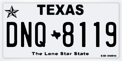 TX license plate DNQ8119