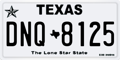 TX license plate DNQ8125