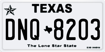 TX license plate DNQ8203