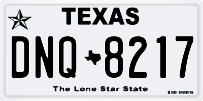 TX license plate DNQ8217