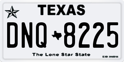 TX license plate DNQ8225
