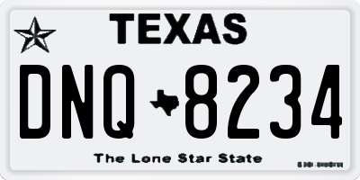 TX license plate DNQ8234