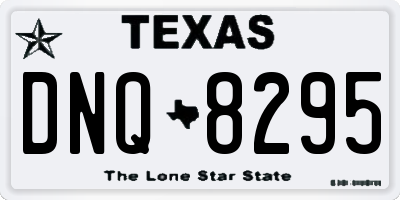 TX license plate DNQ8295